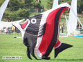cerf (23)
